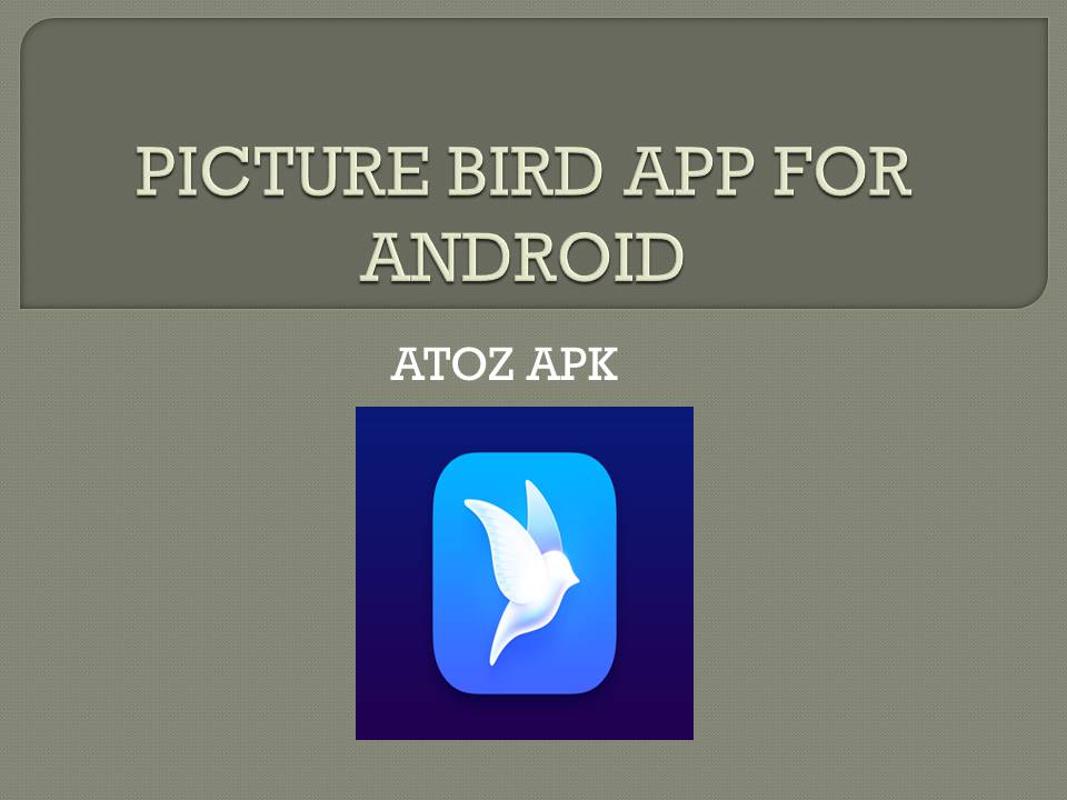 PICTURE BIRD APP FOR ANDROID