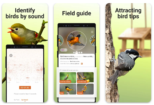 Picture Bird - Bird App Download for Android Phone