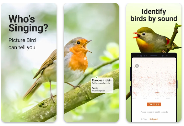 Picture Bird - Bird Identifier 2023 App Free Download for iPhone