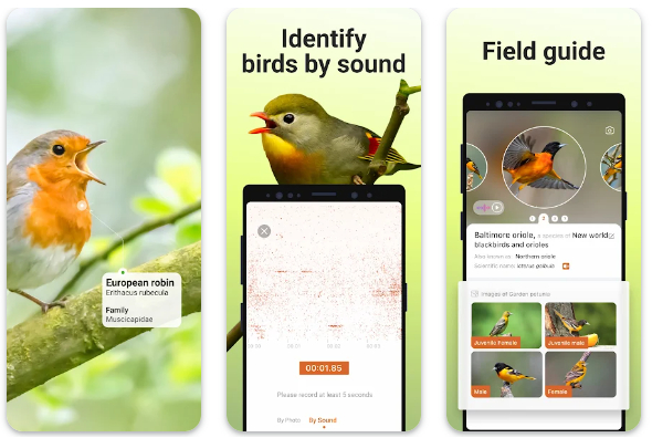 Picture Bird - Bird Mod App Free Download for iOS iPAD