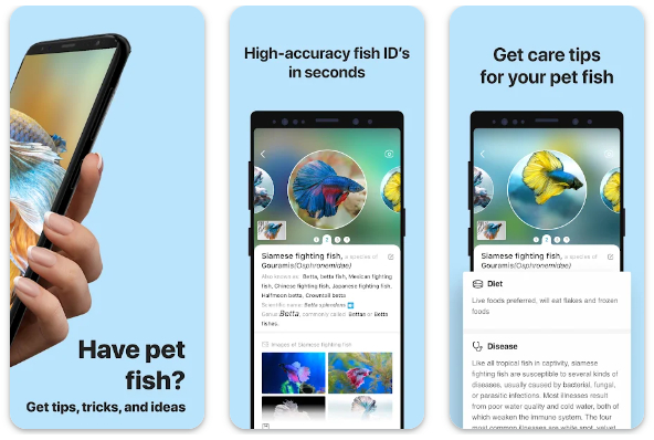 Picture Fish - Fish Identifier APK Free Download for iOS iPad