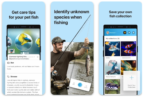 Picture Fish - Fish Identifier MOD APK Free Download for Android Phone