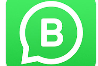 Whatsapp Business App Download Apk